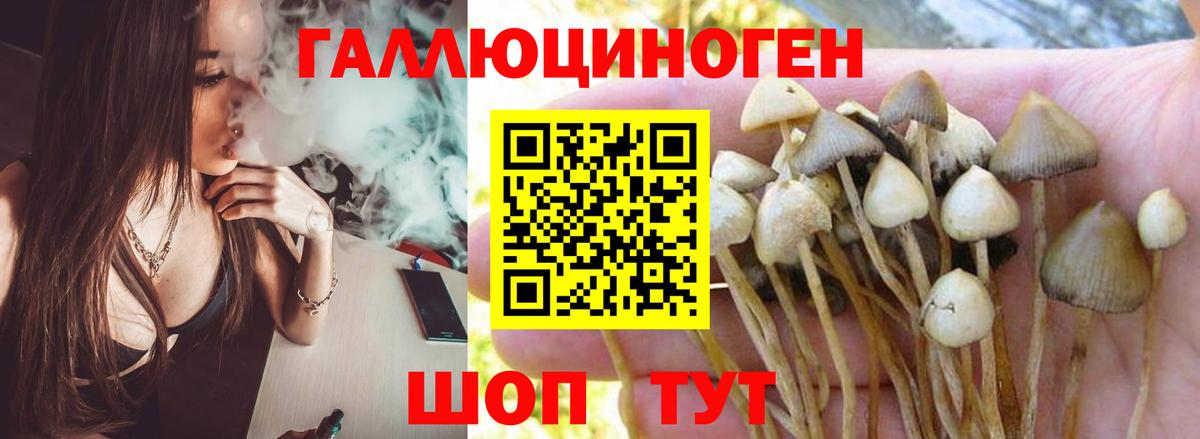 Псилоцибиновые грибы Psilocybe  Галлюциногенные грибы Cubensis  Бугульма  Вход с VPN 